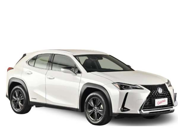 Lexus UX250h Hybrid (2018 onwards) - New Hybrid Battery – Infinitev